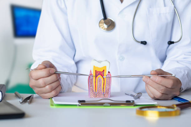 Best Emergency Dental Care for Trauma or Injury in Notre Dame, IN